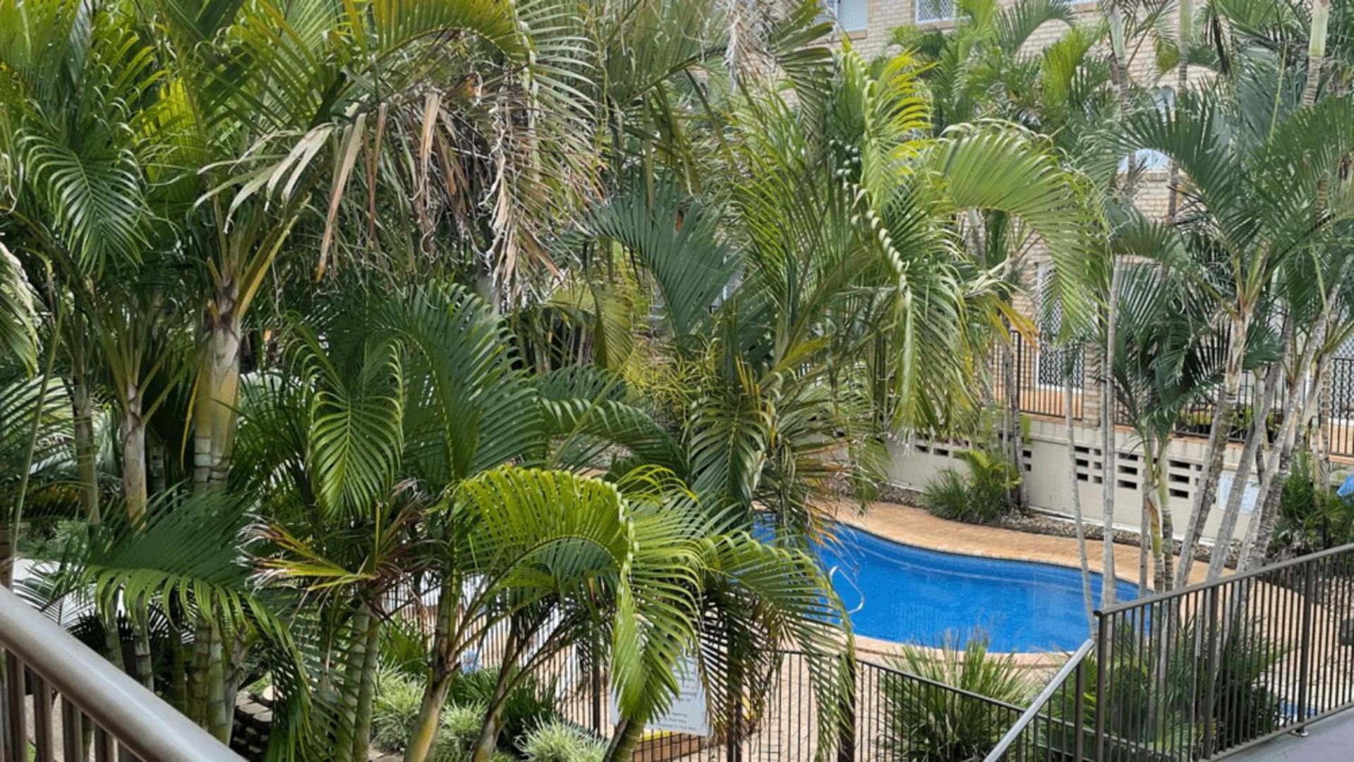 Cabarita Beachfront Apartments By Kingscliff Accommodation Eksteriør bilde